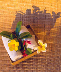 Similar image 8788693