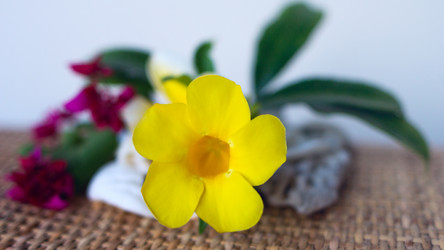 Similar image 8788697