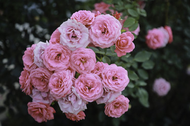 Similar image 8788956