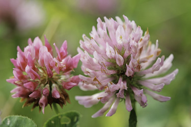 Similar image 8789075