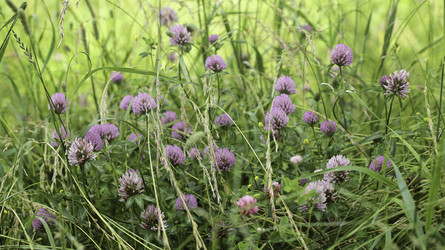 Similar image 8789077