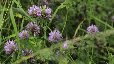 Similar image 8789079