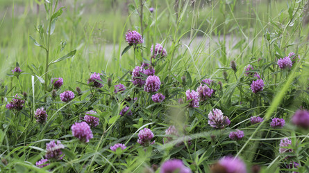 Similar image 8789084