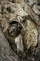 Similar image 8789091