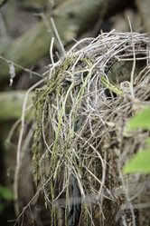 Similar image 8789093