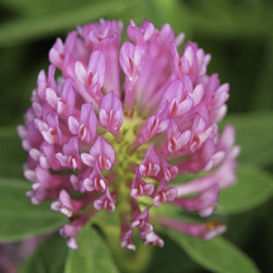 Similar image 8789097