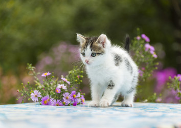 Similar image 8789222