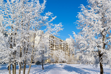 Similar image 8789231