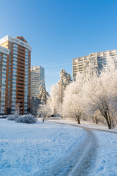 Similar image 8789334