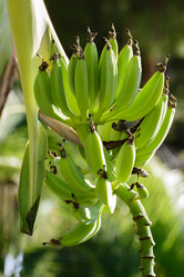 Similar image 8789335