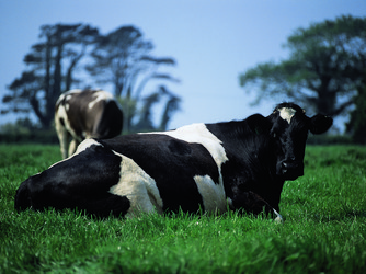 Similar image 8795276