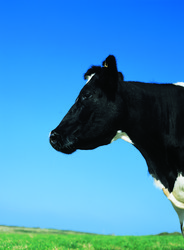 Similar image 8795278