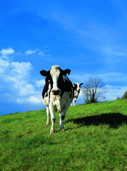 Similar image 8795386