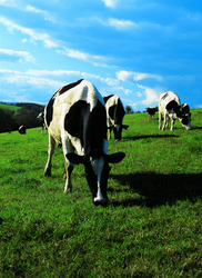 Similar image 8795388