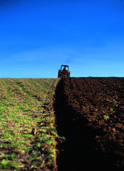 Similar image 8795390