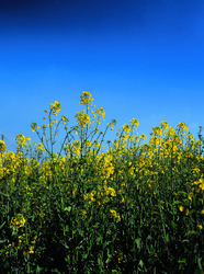 Similar image 8795397