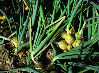 Similar image 8795399