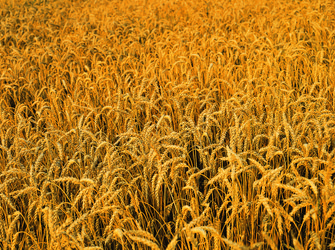 Similar image 8795404