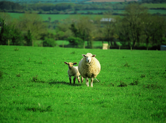 Similar image 8795406