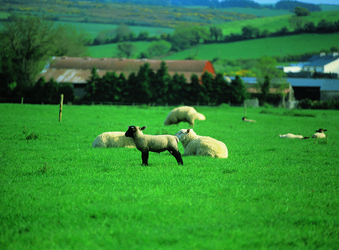 Similar image 8795410