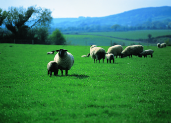 Similar image 8795411