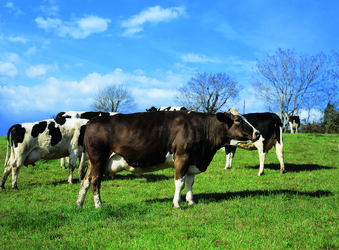 Similar image 8795491