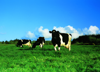 Similar image 8795493