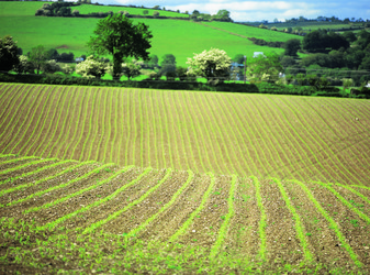 Similar image 8795496