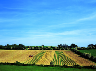 Similar image 8795503