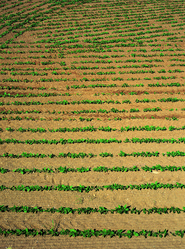 Similar image 8795507