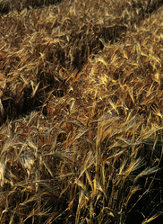 Similar image 8795509