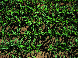 Similar image 8795510