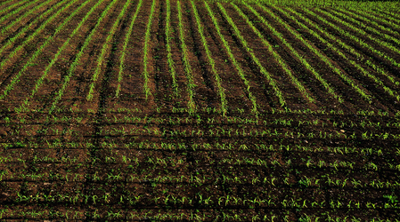 Similar image 8795514