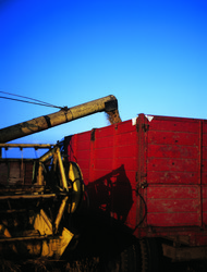 Similar image 8795522