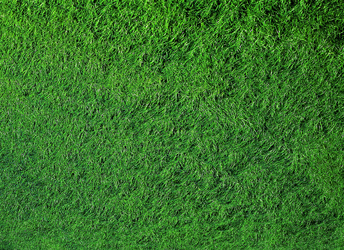 Similar image 8795524