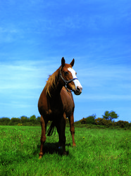 Similar image 8795573