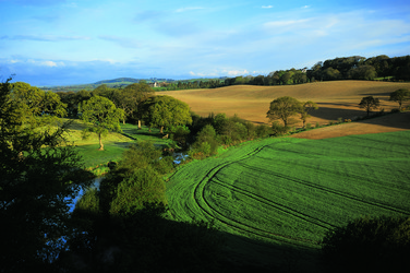 Similar image 8795575