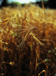 Similar image 8795577