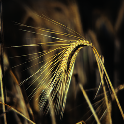 Similar image 8795580