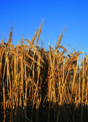 Similar image 8795582