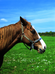 Similar image 8795585