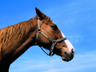 Similar image 8795589