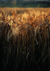 Similar image 8795591