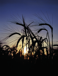 Similar image 8795595