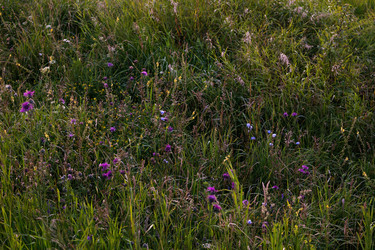 Similar image 8795604