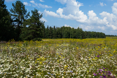 Similar image 8795663