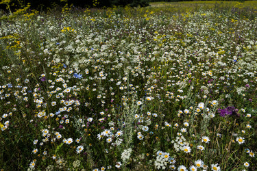 Similar image 8795665