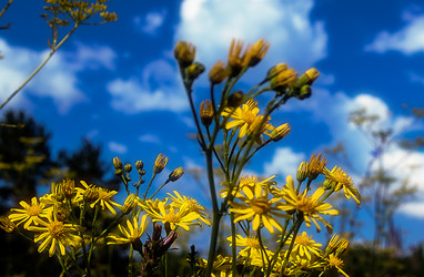 Similar image 8795667