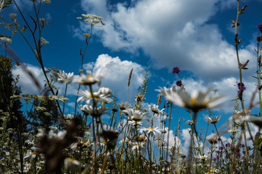 Similar image 8795669