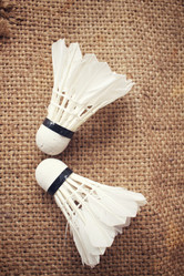 Similar image 8795954